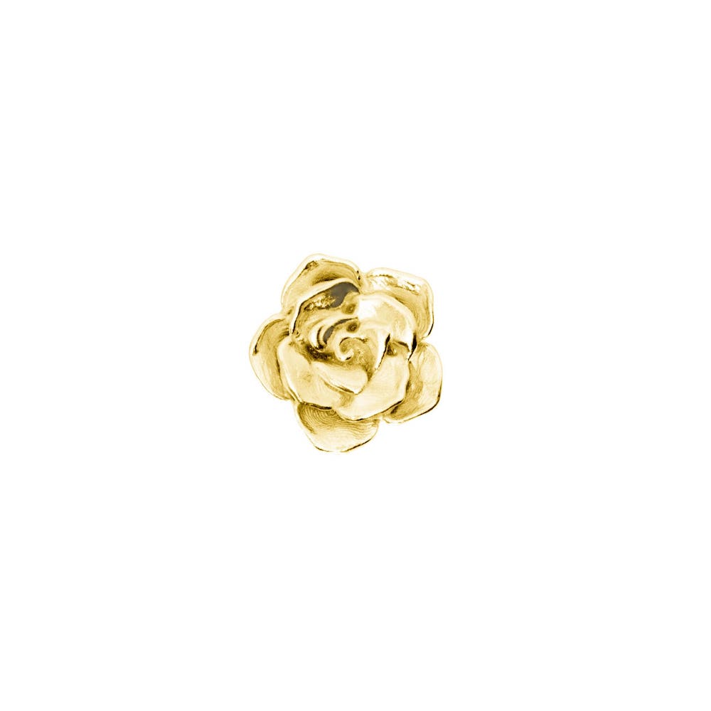 gold rose