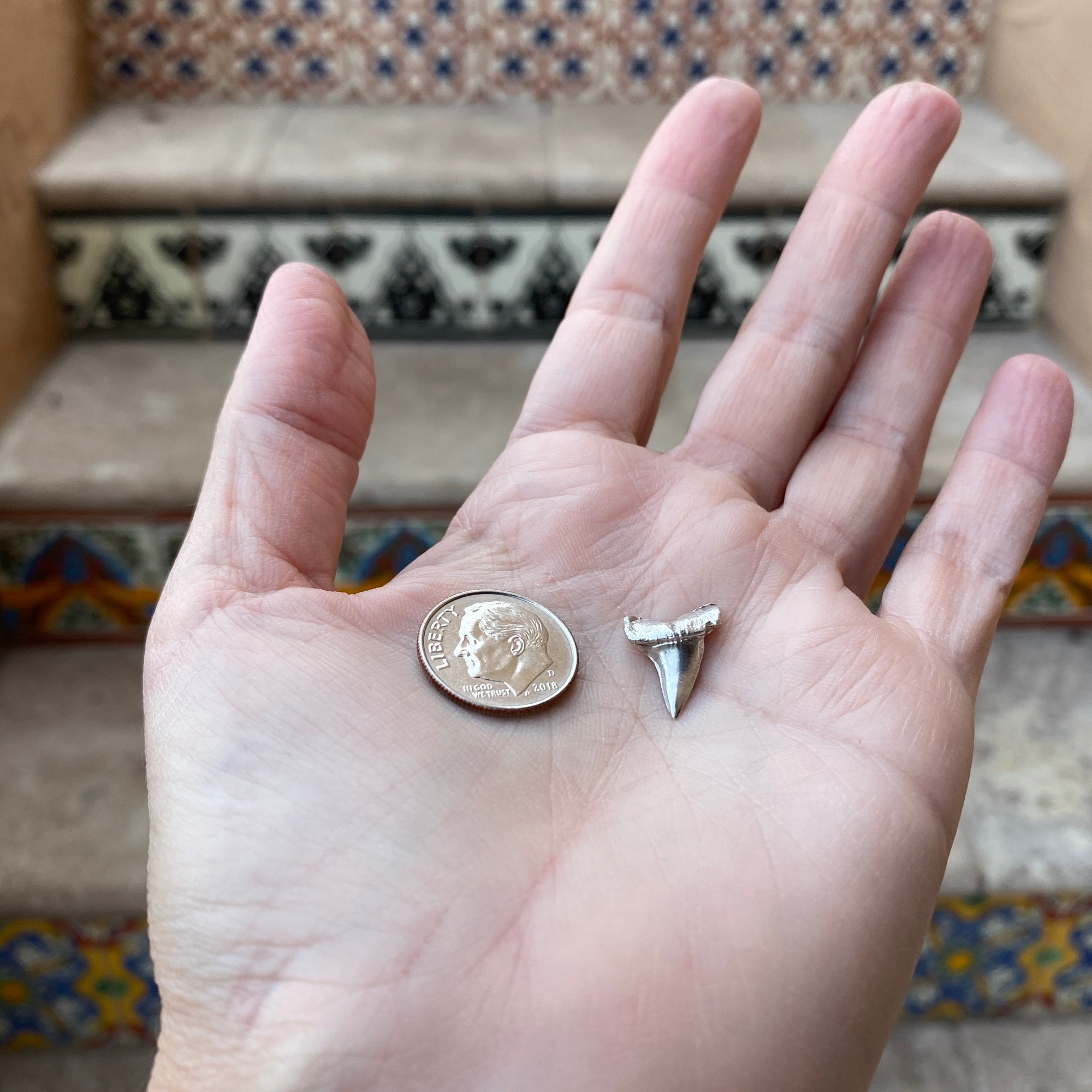 siver cast shark tooth with dime for size reference