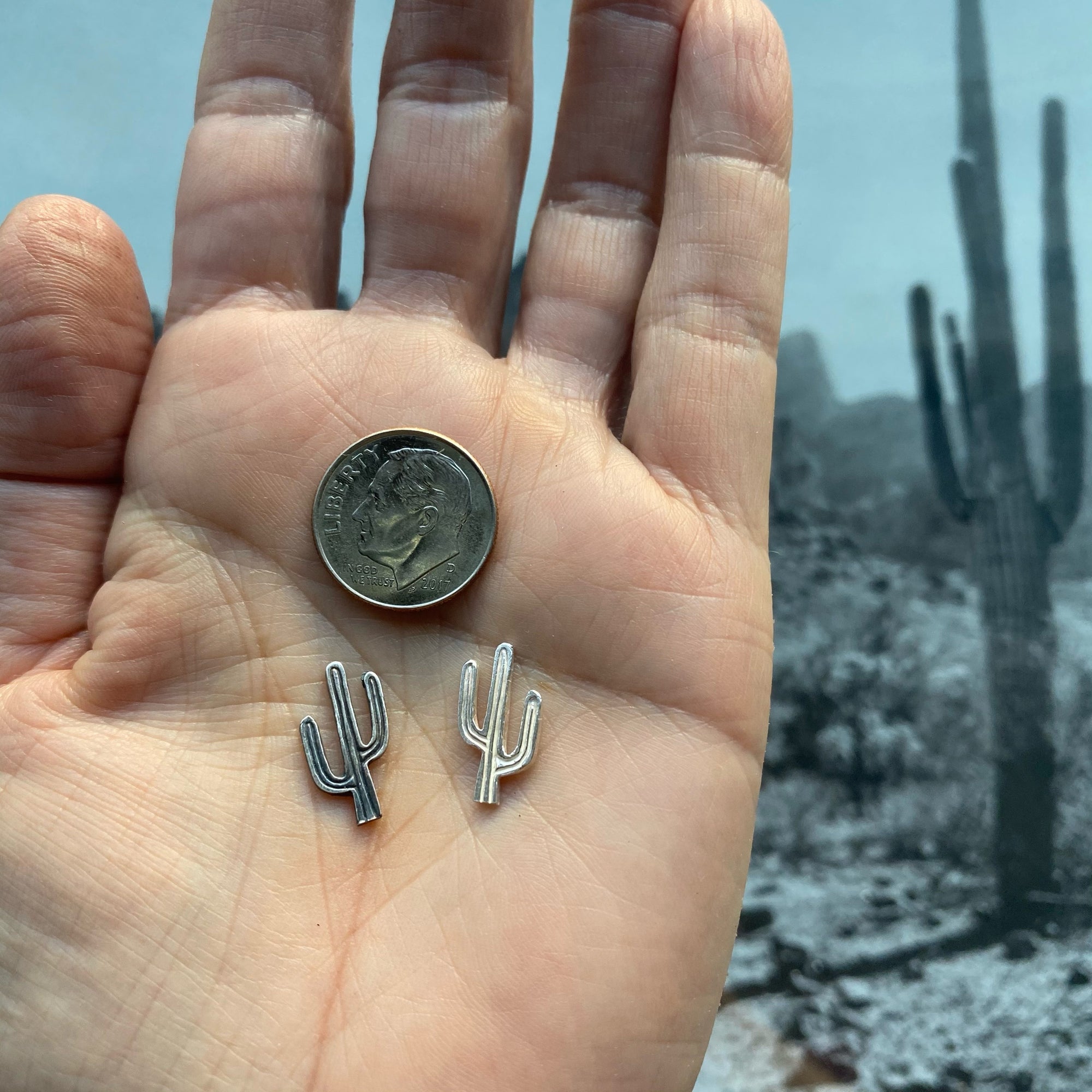 Textured Saguaro