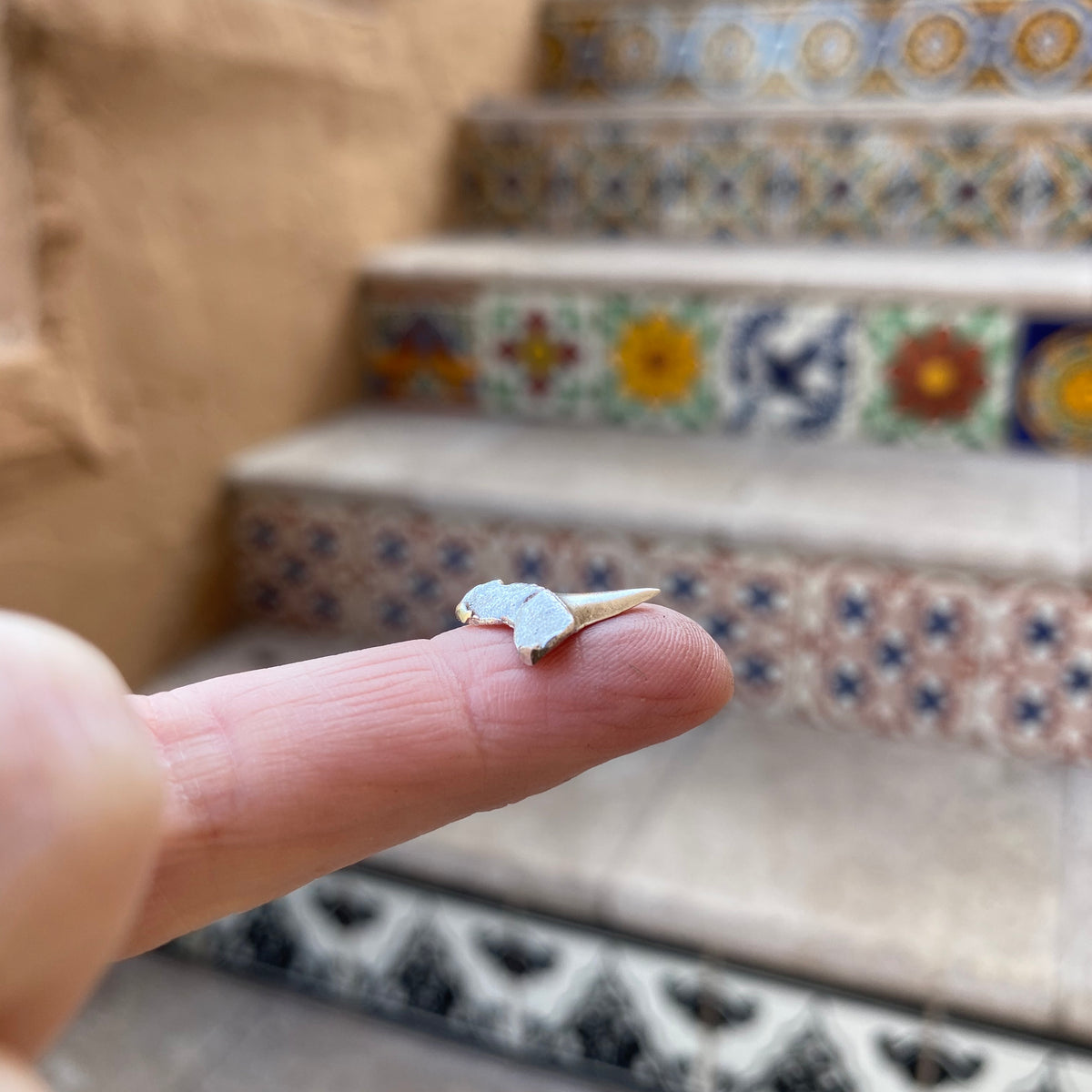 cast shark tooth for jewelry makers on finger 