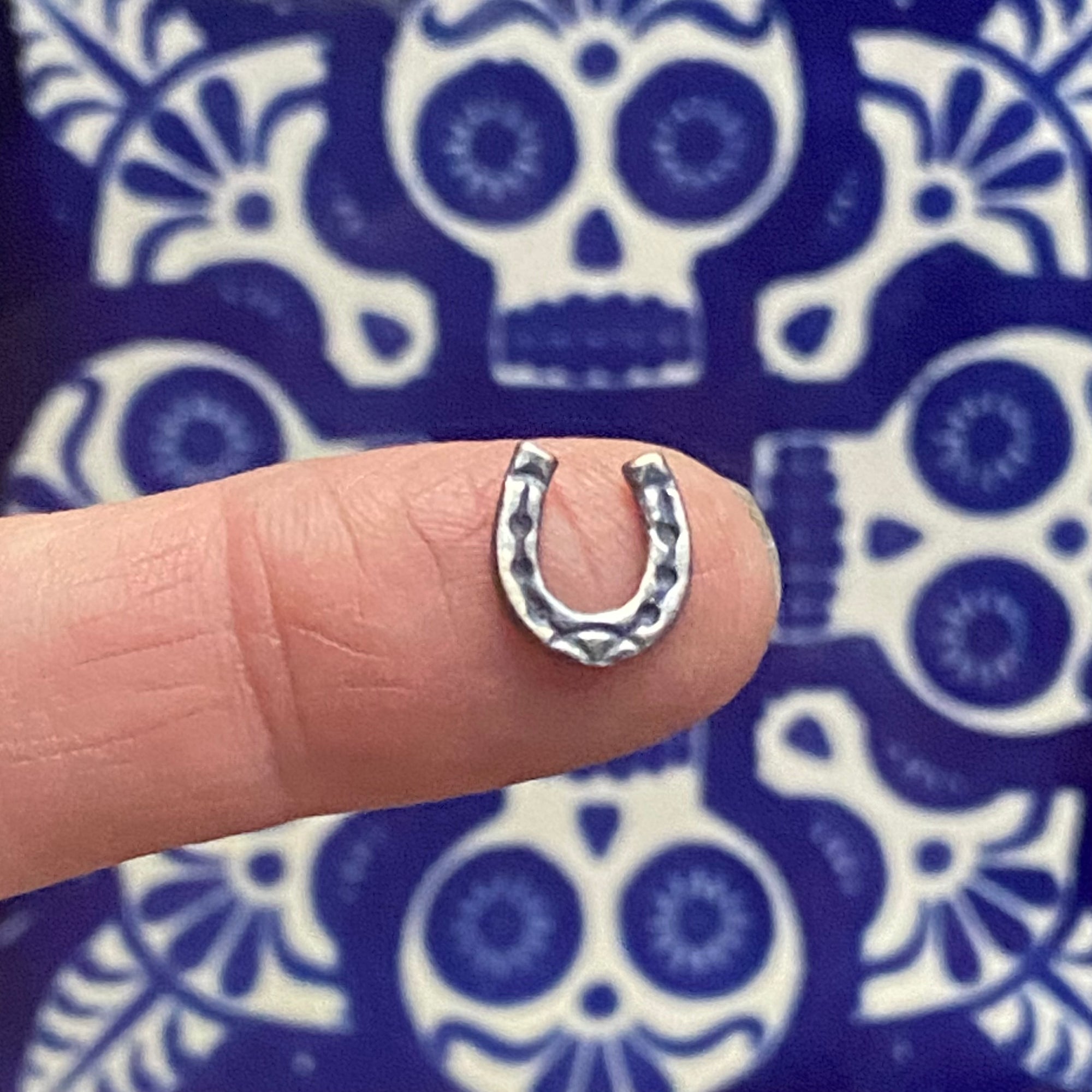 Small Horseshoe